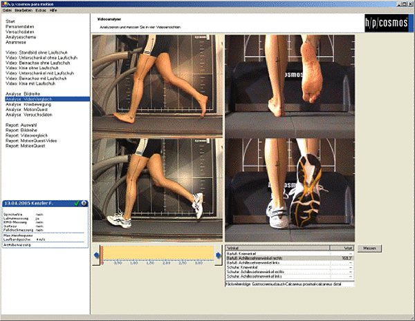 paramotion software