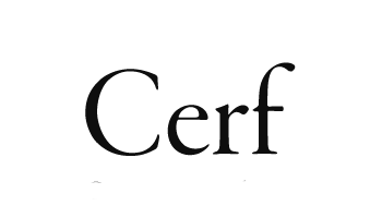 Technology Partner, Cerf Computer Consultants